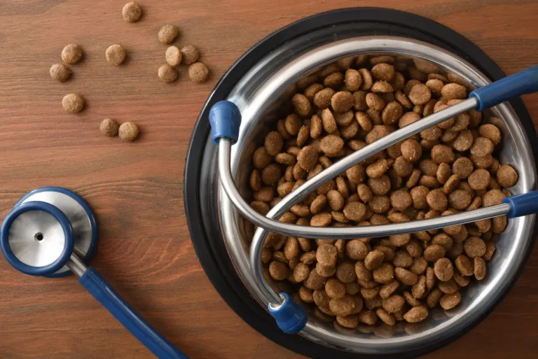 dog food recall